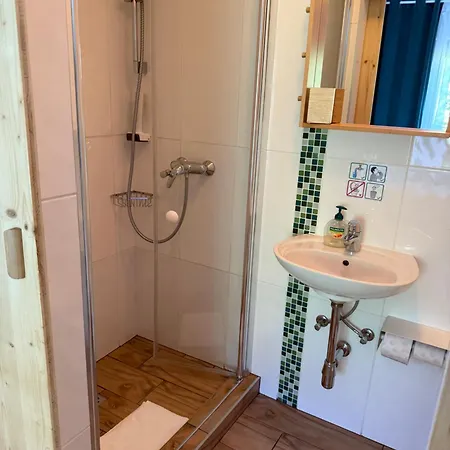 מלון Seehotel Am Hallstaettersee אוברטראון