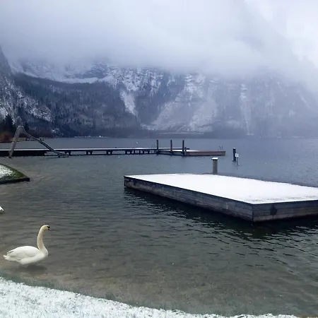 Seehotel Am Hallstaettersee