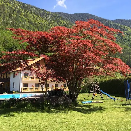 Hotel Seehotel Am Hallstaettersee