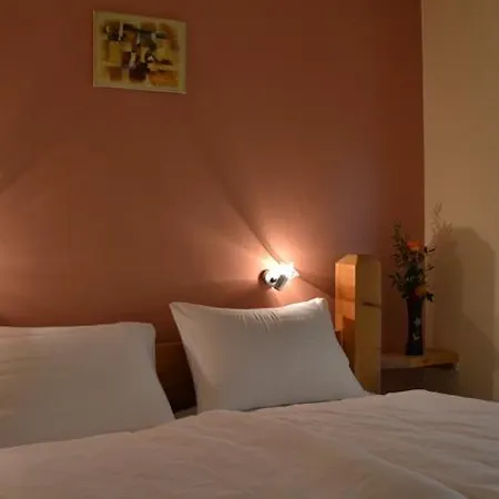 מלון Seehotel Am Hallstaettersee אוברטראון