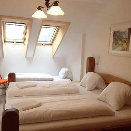 Seehotel Am Hallstaettersee מלון