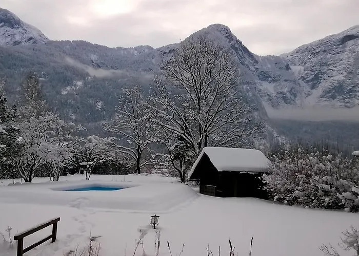 Hotel Seehotel Am Hallstättersee 2*