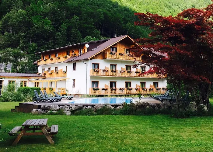 Seehotel Am Hallstaettersee Hotel