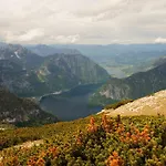 Seehotel Am Hallstaettersee 2*