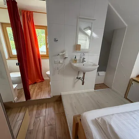 Seehotel Am Hallstaettersee מלון