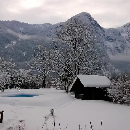 Ξενοδοχείο Seehotel Am Hallstaettersee 2*