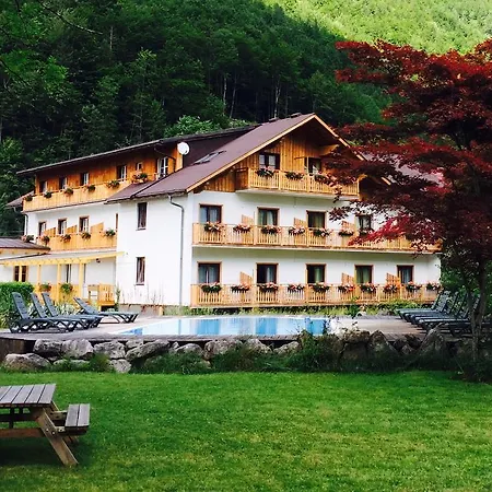 Seehotel Am Hallstaettersee מלון