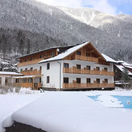 Seehotel Am Hallstaettersee אוברטראון