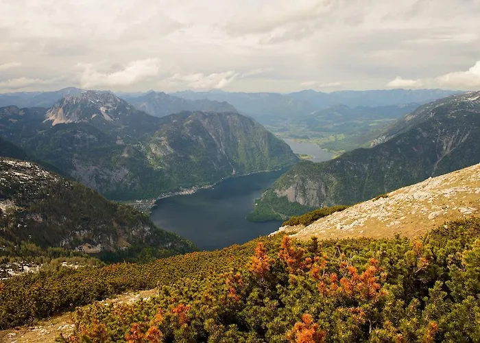 Seehotel Am Hallstaettersee 2*